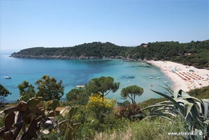 La spiaggia di Fetovaia